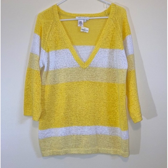 Coldwater Creek Size XL NWT Pullover Vneck Sweater wide stripe yellow colorblock - Picture 3 of 5